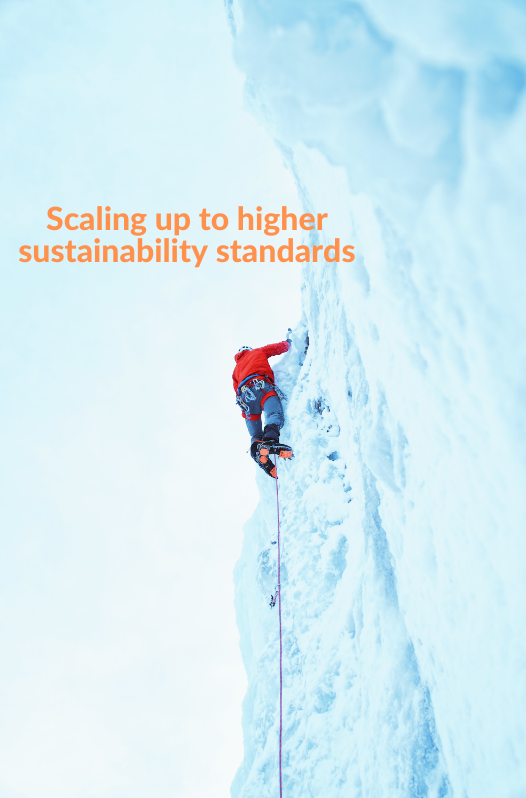 Transitioning Portfolios to Truly Sustainable Investments